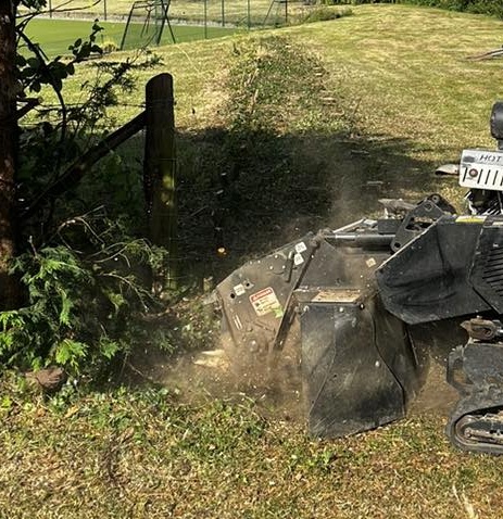 Stump Grinders